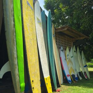 costa rica surf camp