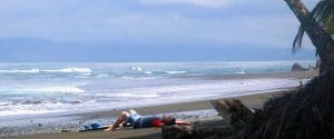 costa rica surf camp