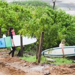 des-voyages-de-surf-pour-tous-patrick-white
