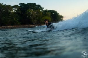 surfing