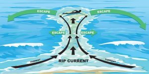escape-rip-currents
