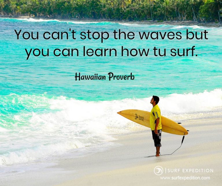 40 Surf Quotes That Will Inspire You To Surf - SURF EXPEDITION