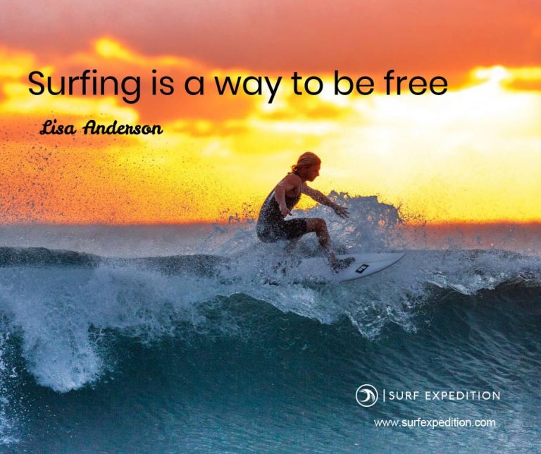 40 Surf Quotes That Will Inspire You To Surf - SURF EXPEDITION