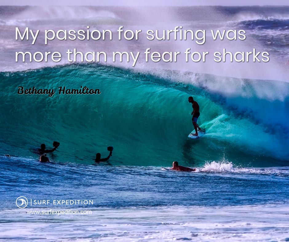 surf quote