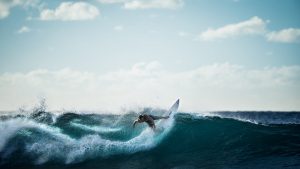 Surfer on wave