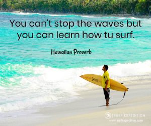 surf quotes