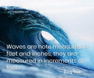 surf quotes