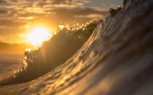 wave-surf-expedition-vague