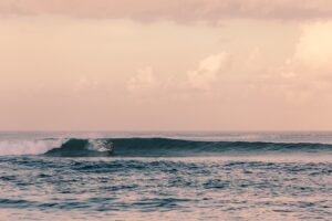 surfer riding a wave at dawn