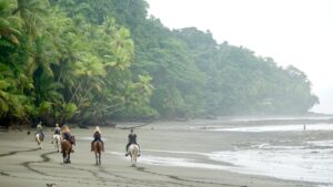 Horseback riding down the beach next to the jungle on the Osa Peninsula