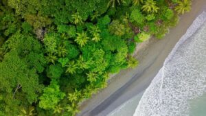Aerial view of the ocean meeting the Osa Peninsula jungle during the Costa Rica rainy season