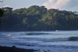 Left waves breaking in Costa Rica with the jungle in the background
