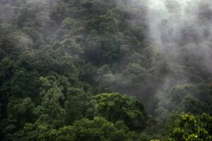 Steam rising from the cloud forests during the Costa Rica rainy season