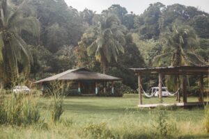 The rainforest surrounding Surf Expedition, one of the best all incluside surf resorts in Costa Rica
