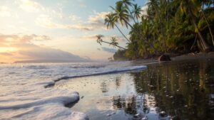 Sunny day during Veranillo with the ocean and trees at sunset