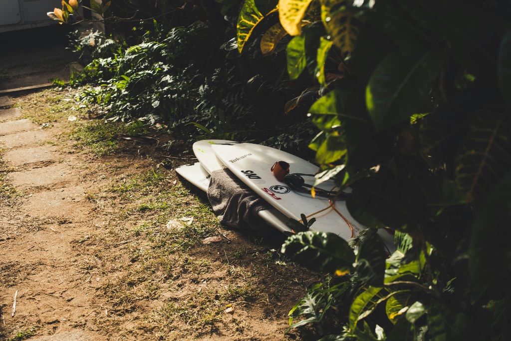 a stack of shortboards under the trees to demonstrate the cost of surfboards