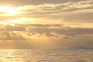 sunset session surf expedition