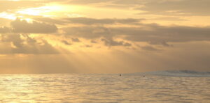 sunset session surf expedition